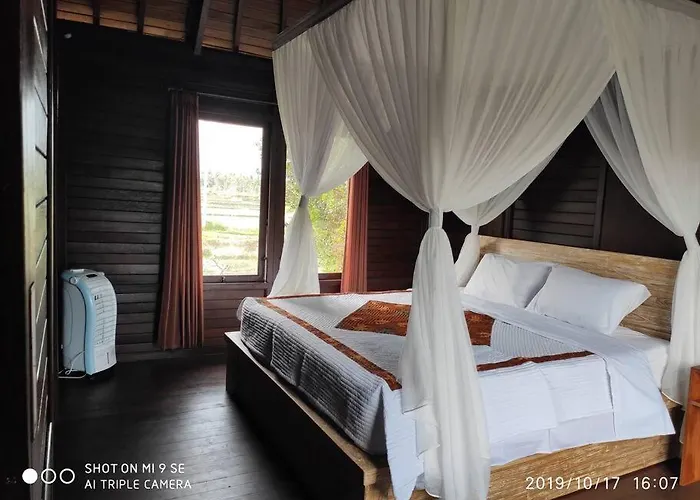 Tegeswoodhouse,private Pool,two Bedrooms And Free Wifi Ubud